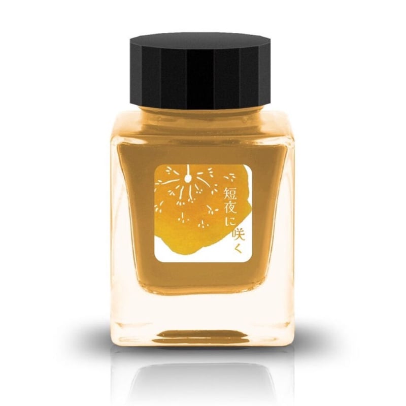 TONO＆lims インク11本 Tono & Lims Ink Bottle - Standard - No. 11 - Boundary