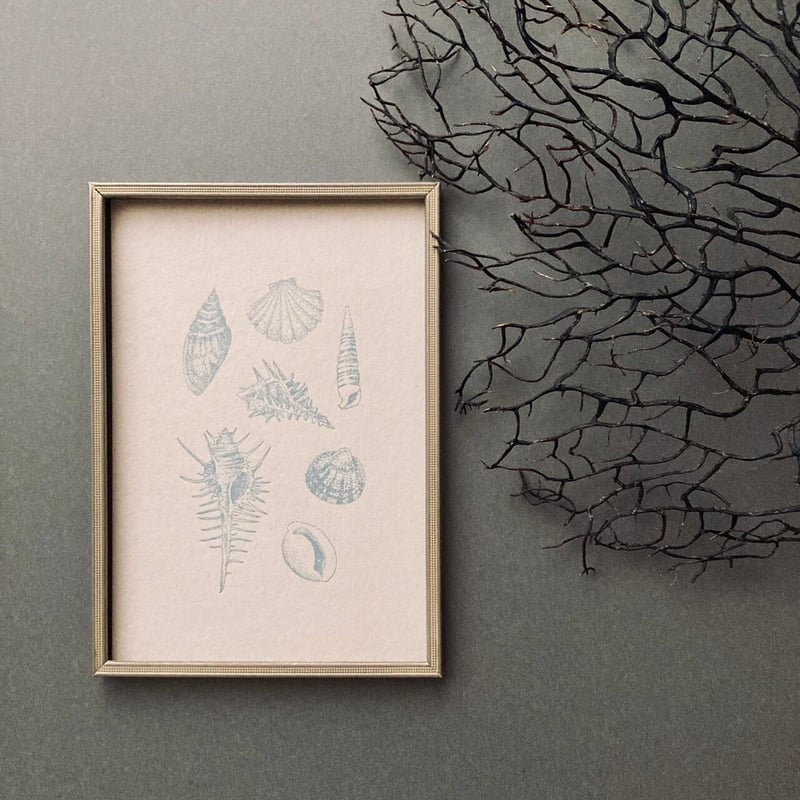 knoten ポストカード 貝あつめ | ツバキ舎