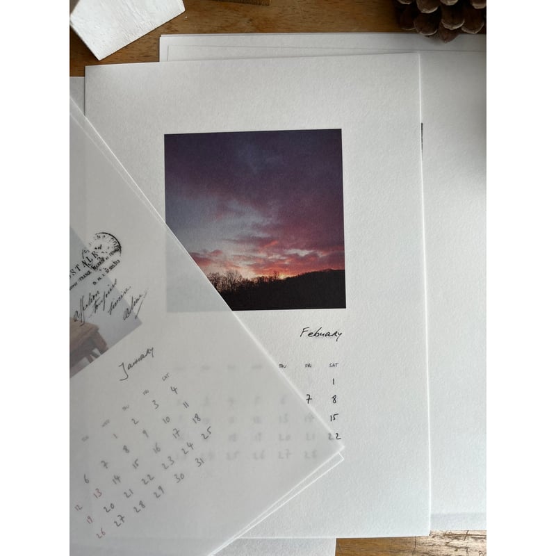 ヨハク 28本セット④ 【公式通販】