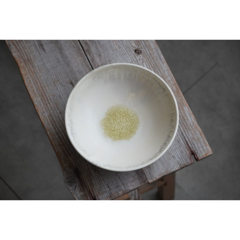 レア ニブリア綴化×杉山悠 鉢 セット 斑入り 【公式通販】