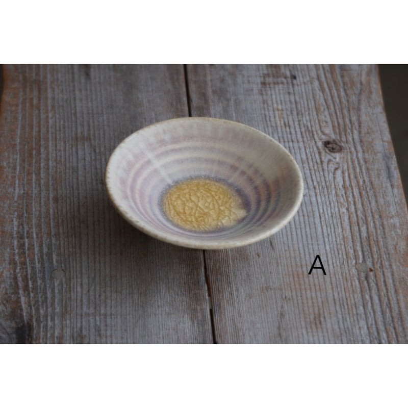 レア　ニブリア綴化×杉山悠　鉢　セット　斑入り レア ニブリア綴化×杉山悠 鉢 セット 斑入り 【公式通販】