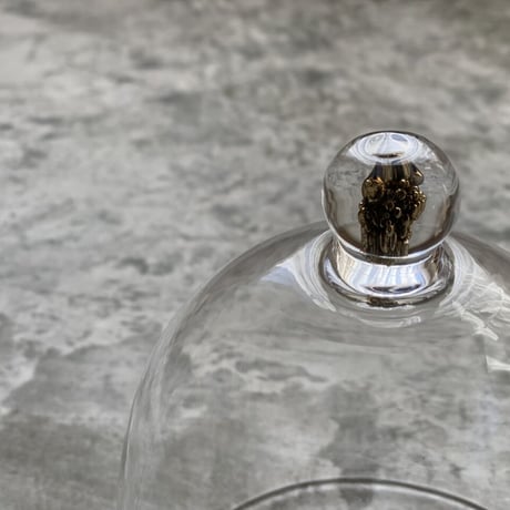 【神澤麻紀】brass-dome set
