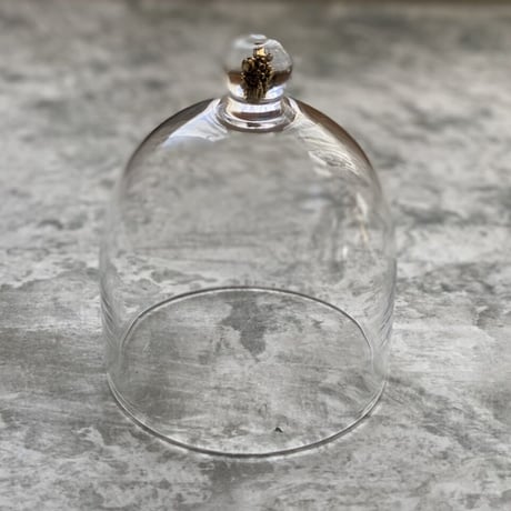 【神澤麻紀】brass-dome set