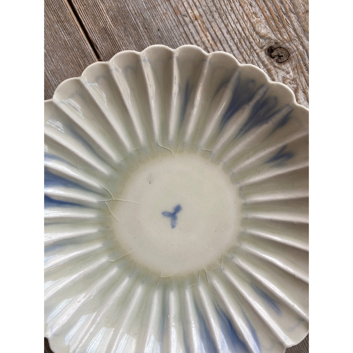 鈴木まどか】安南菊割五寸浅鉢 | Kinilu STORE