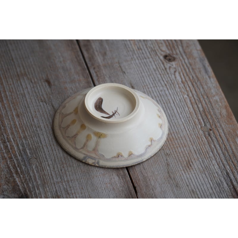 レア　ニブリア綴化×杉山悠　鉢　セット　斑入り レア ニブリア綴化×杉山悠 鉢 セット 斑入り 【公式通販】