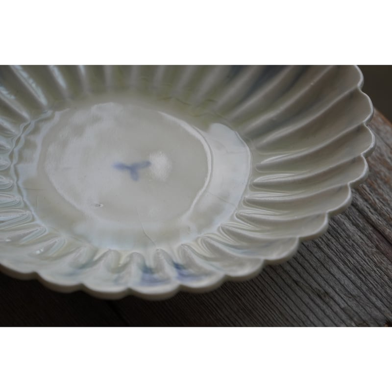 鈴木まどか】安南菊割五寸浅鉢 | Kinilu STORE