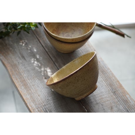 【庄司理恵】小丼