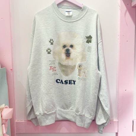 ミスチル様❤シュナウザー ビジョンフリーゼ 印鑑スタンド❁⃘*.゜ ビションフリーゼ | STORES