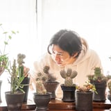 monkey plants