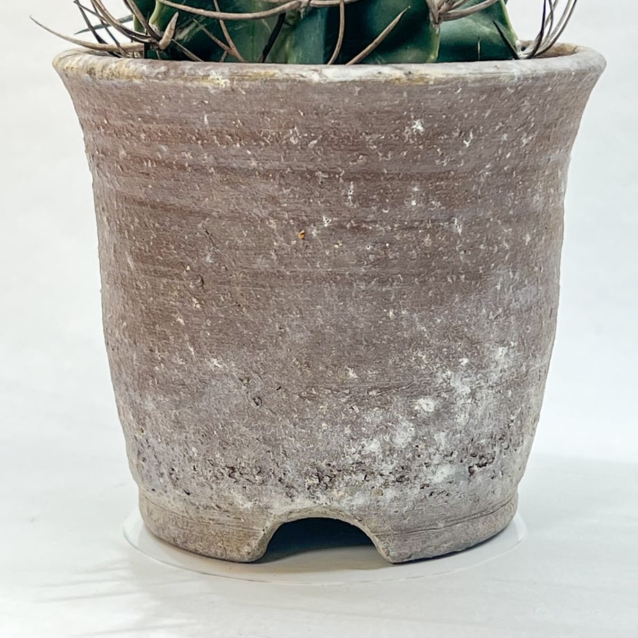660f99a5720e9801ac44f3fa