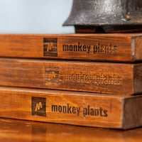 monkey plants オリジナルウッドボード（SIDE）