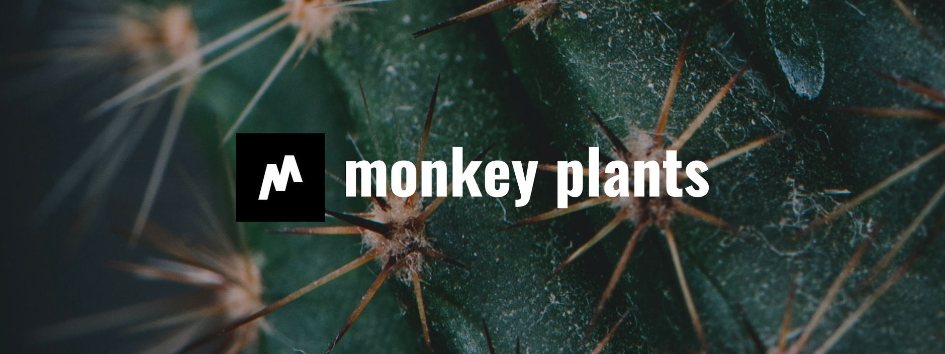 monkey plants