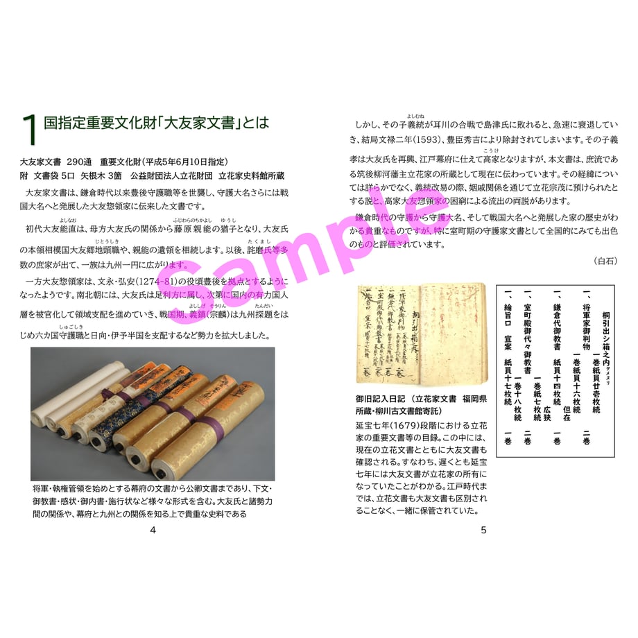 65d2c3227ab880130b8a1d45