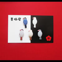 【選べるピンバッジミニ】文鳥４