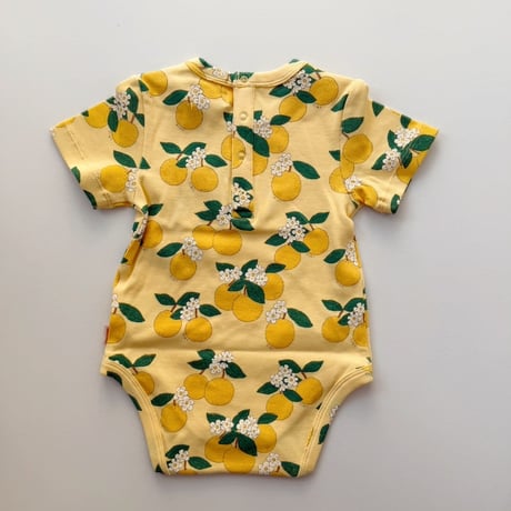 tiny cottons  Oranges Rib Body
