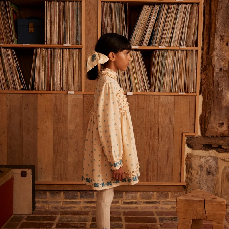a*i様 apolina Cece Dress Folk Calico 3-5y Cece Dress - Folk Calico | Wylder Shop