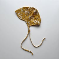 Misha & Puff Acorn Chrysanthemum スカウト 5y Misha & Puff Acorn Chrysanthemum スカウト 5y