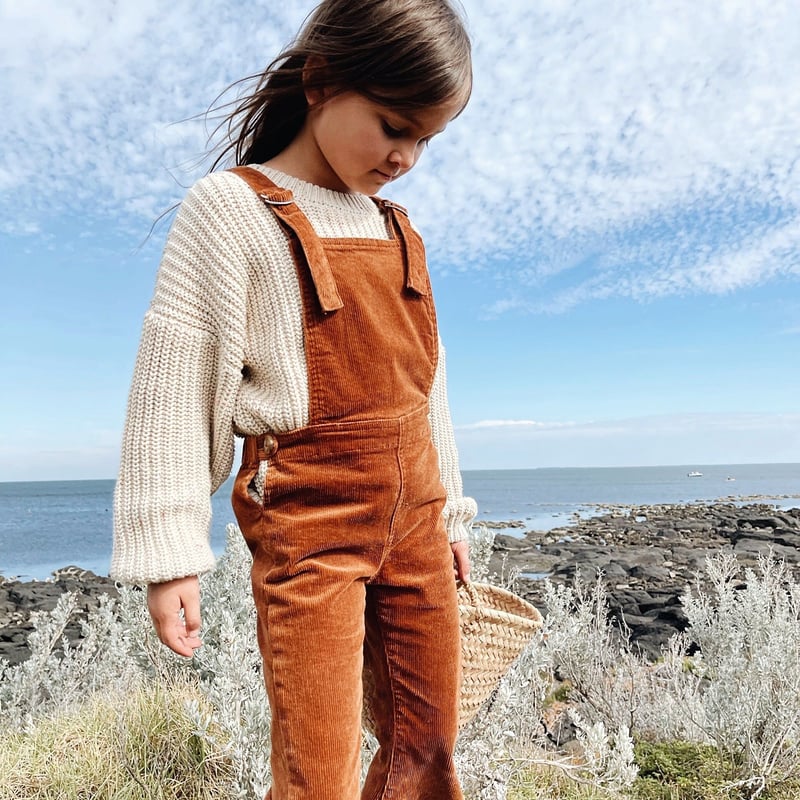 Twin collective オーバーオール　 sorm86 M-L Twin collective オーバーオール デニム sorm86 M-L