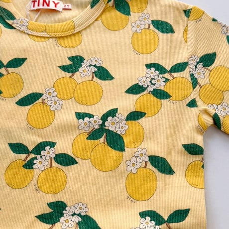 tiny cottons  Oranges Rib Tee