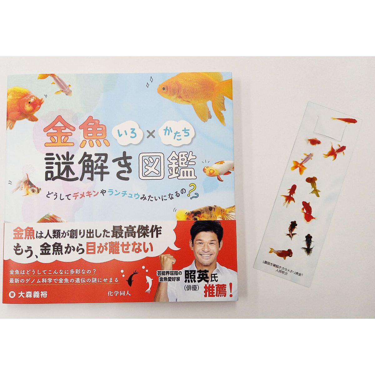 金魚透明しおり3枚セット（『金魚いろ×かたち謎解き図鑑』特製