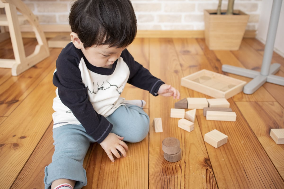 積み木 | 木のゆめ100年