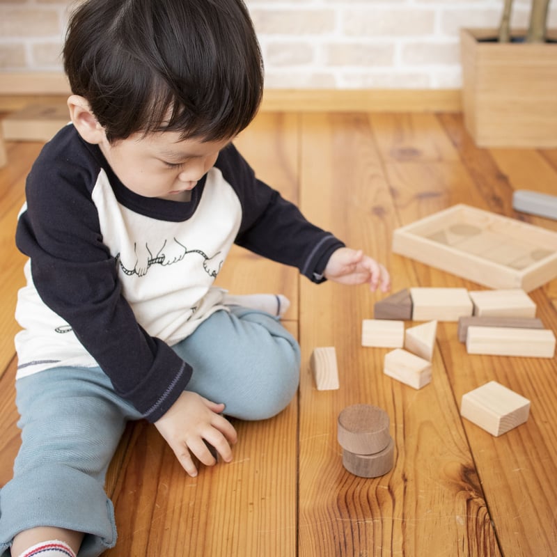 知育セット（積み木セット＋ナンバータワー＋アルファベット