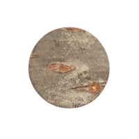 Cherry Bark, Marble (Akita)  樺細工/霜降皮（秋田） 3.5