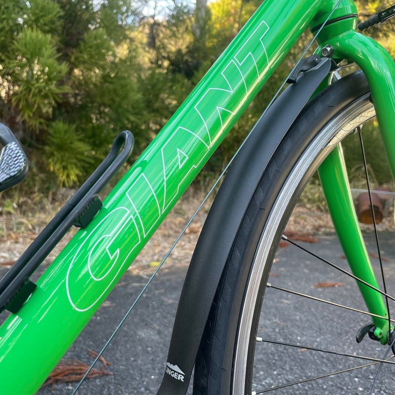 GIANT 緑 ジャイアント / エスケープR3 メタリックセージグリーン | セオ