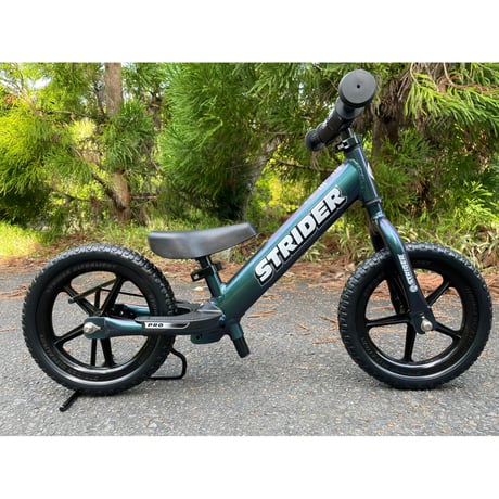 メタリックアクアストライダー プロ