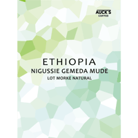 100g/250g トップスペシャルティ / ETHIOPIA Nigussie Gemeda Mude / Lot Morke Natural