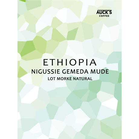100g/250g トップスペシャルティ / ETHIOPIA Nigussie Gemeda