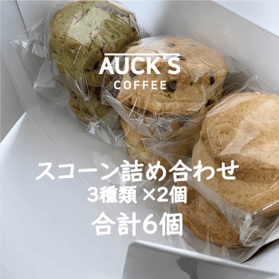 67bd50702a10e4016561cc18