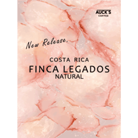 100g/250g スペシャルティ / COSTA RICA Finca Legados