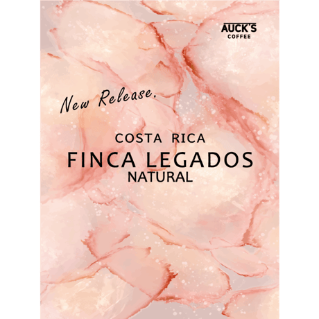100g/250g スペシャルティ / COSTA RICA Finca Legados