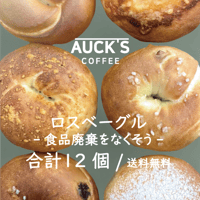 ※発送日未定※ ロスベーグル 12P（冷凍便/送料無料）