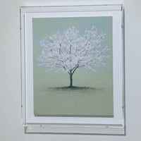 阪本トクロウ [桜、30x25cm]