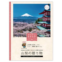 ヤマナシカタログ第三版【富士山】