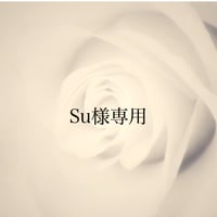 Su様専用