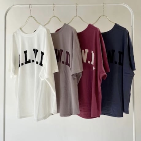 2wayビックロゴT