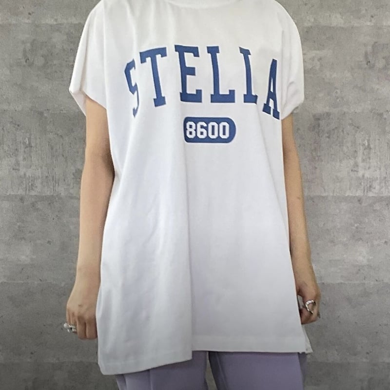 ビックロゴT ビックロゴTシャツ BLACK×Blueロゴ | Rosier Doree