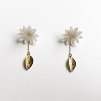 白華葉