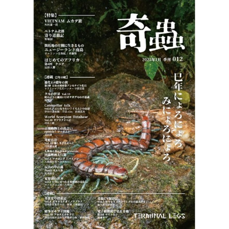 雑誌 『奇蟲』 （変形体キーホルダー 付き）※マメホコリ工房 変形菌の
