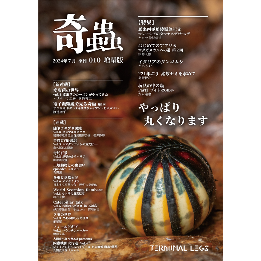 雑誌 『奇蟲』 （変形体キーホルダー 付き）※マメホコリ工房 変形菌の