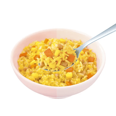 尾西のごはんシリーズ アルファ米 ドライカレー