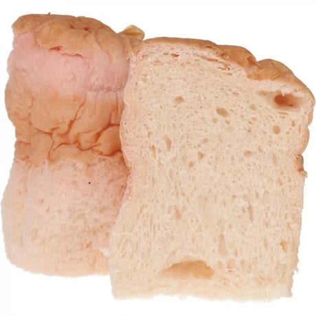 パンだ缶 パンの缶詰　桜咲く塩パン