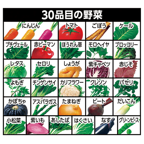 野菜一日これ一本　長期保存用 190ｇ