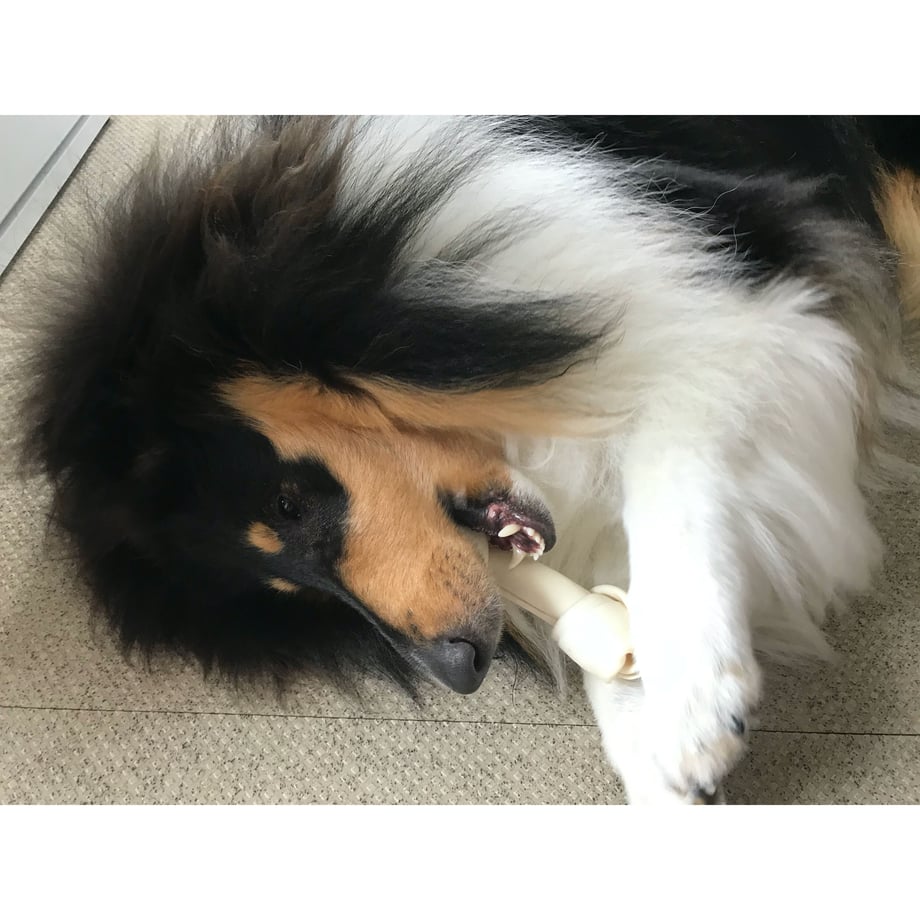 5ebe61e834ef015adaf91076
