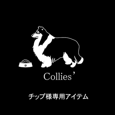 チップ様専用アイテム