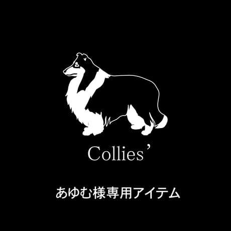 あゆむ様専用アイテム