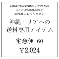 沖縄エリア専用追加送料アイテム　宅急便60